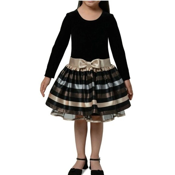 Bonnie Jean Little Girl's Long Sleeve Velvet Striped Fanciful Dress Size 16 - Picture 1 of 7